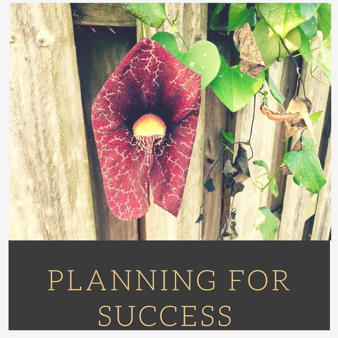 3-planning-tips-to-set-you-up-for-the-day